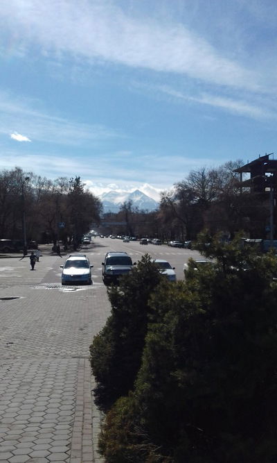 Артур Куйшев