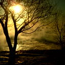 Алёна Емельянова