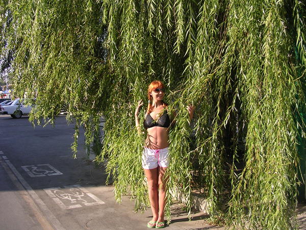 Наталья Сафронова