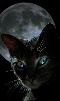 Ольга Шахматова