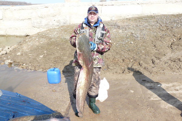 Андрей Эгги