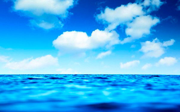 Анна Егиазарян