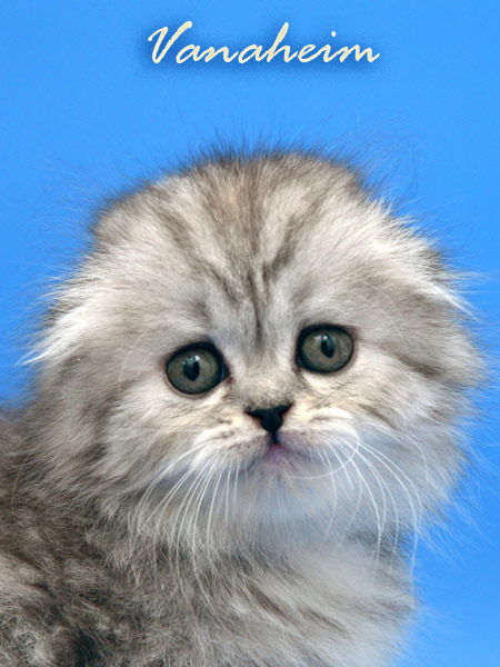 Татьяна Гугина