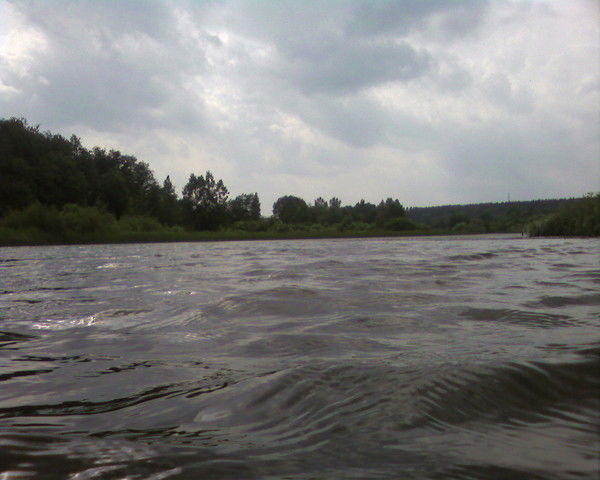 Михаил Левашов