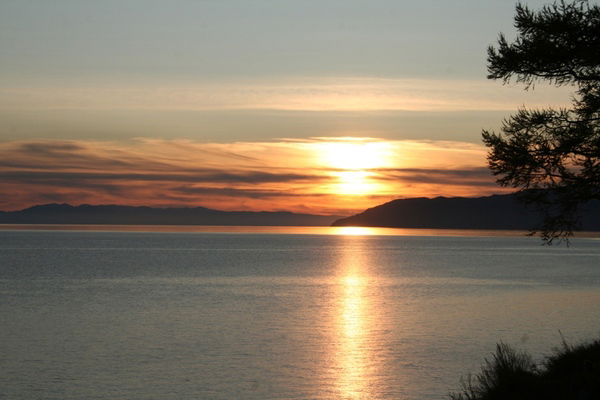 Роман Грибов