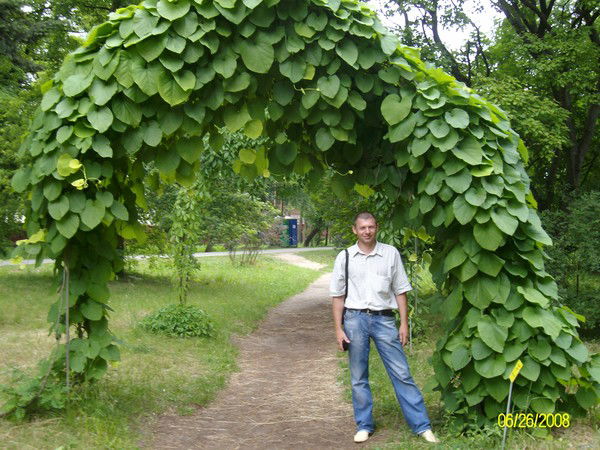 Сергей Шишаков