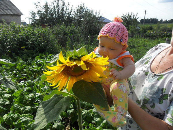 Василий Руднев
