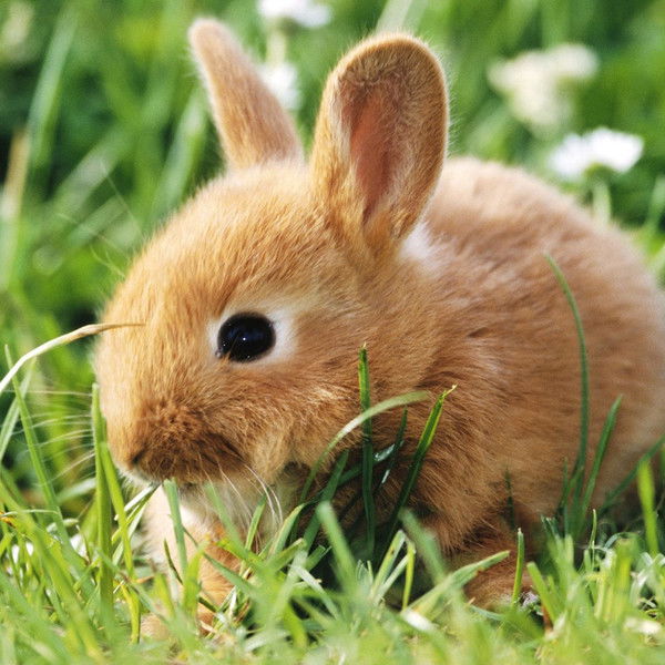 Настя Ивченко