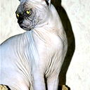 Елена Мальцева