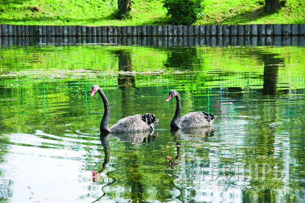 Мария Осипова