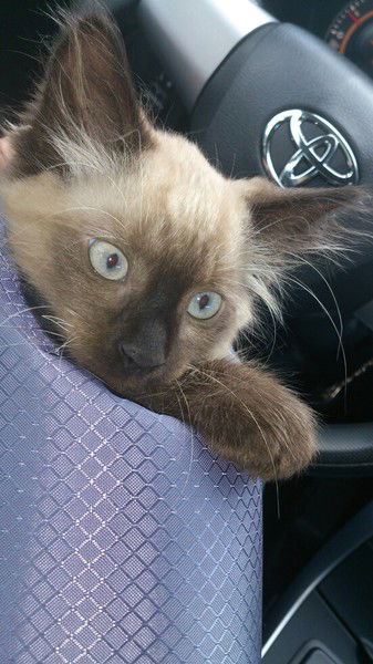 Алёна Мишкина)