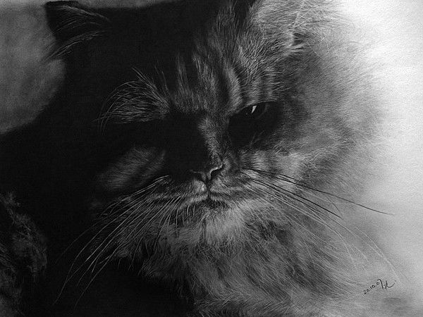 Виктория Крылова