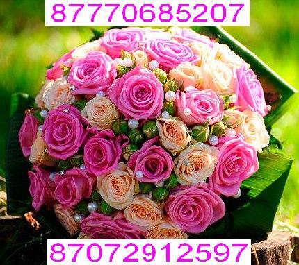 Балгын Мастер-Стилист