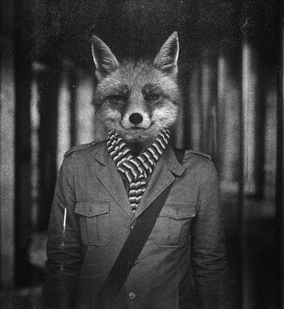 Дима Калашников