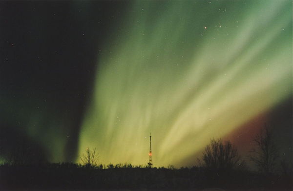 Александр Мельников