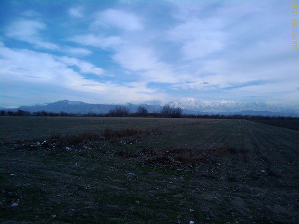 Fazliddin Mukhamadiev