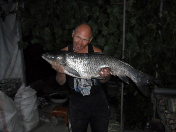 Алексей Сигутин