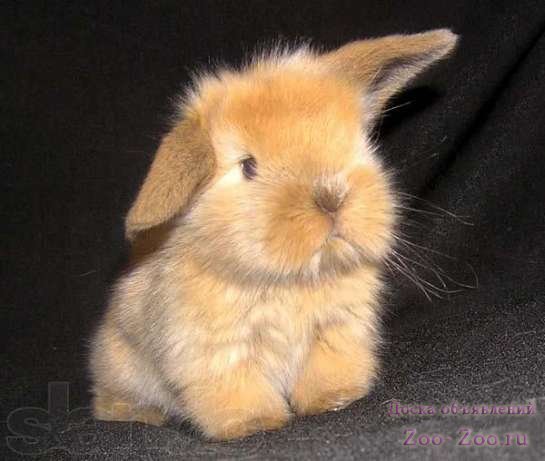 Екатерина Круглова