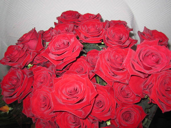 Лена Кузьмина