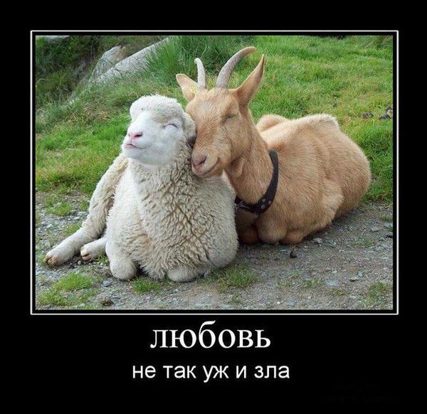 Артур Артур