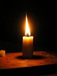 Алексей Левин