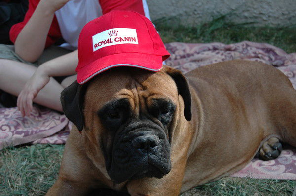 Людмила Субботина