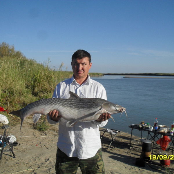 Андрей Чернышов