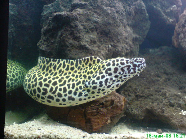 Компания Аквадизайнер Компания Аквадизайнер