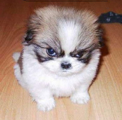 Астана Астана