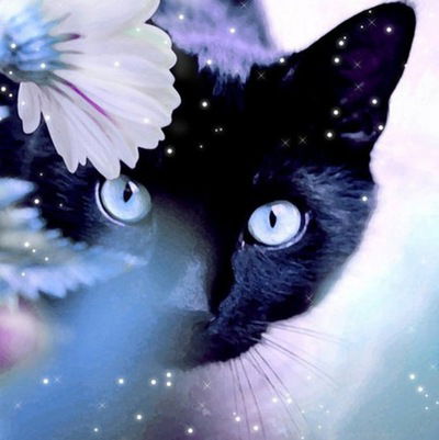 Татьяна Новосёлова