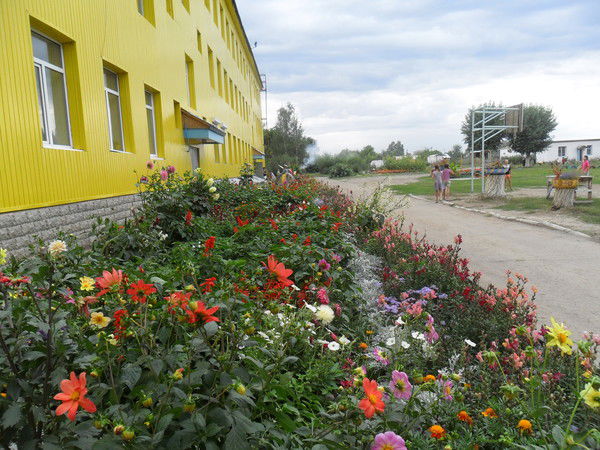 Вко Специальная Школа-Интернат Для Детей