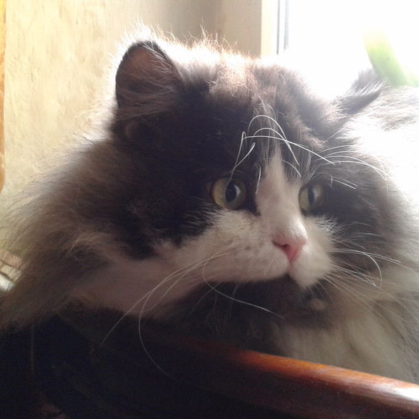 Сергей Чечеткин