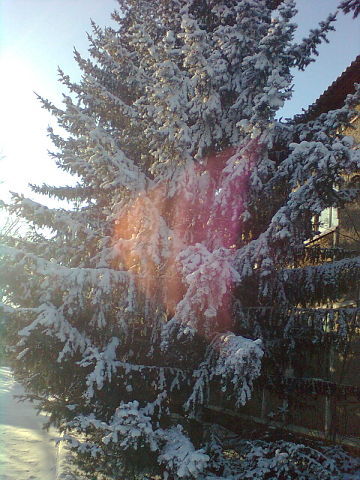 Кусеп Акимат