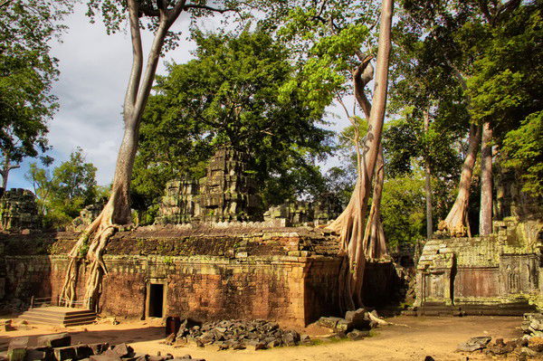 Александр C