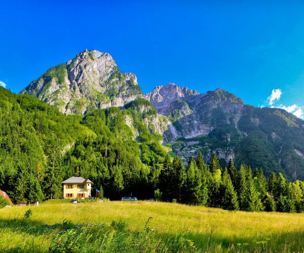 Вова Галустов