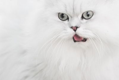 Вероника Секретёва