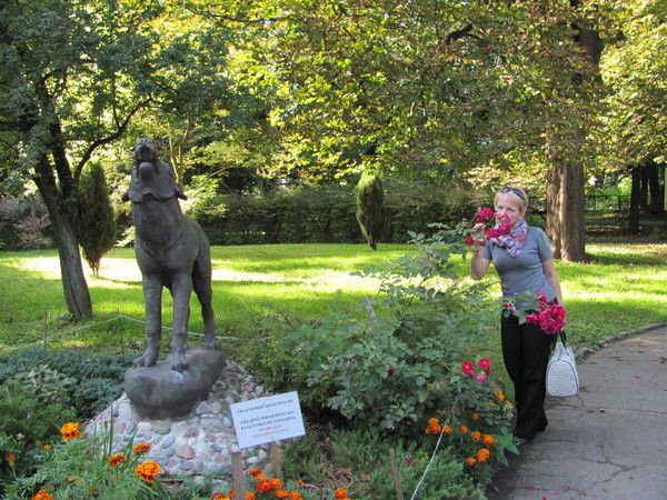 Елена Курина