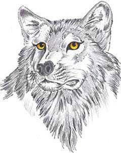 Алексей Ермоленко