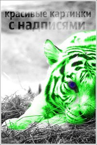 Андрей Пахомов