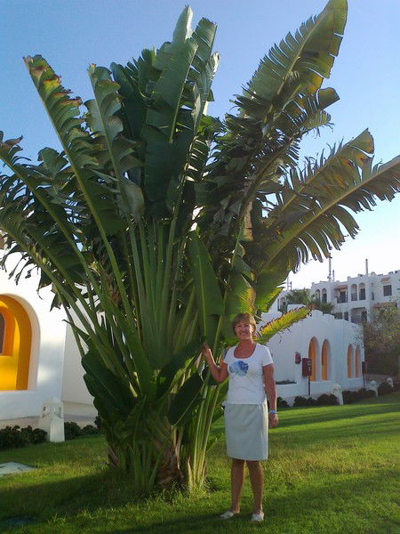 Елена Кузнецова