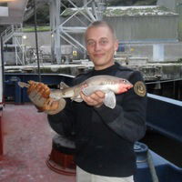 Денис Жизневский