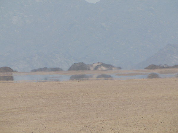 Елена Викторовна