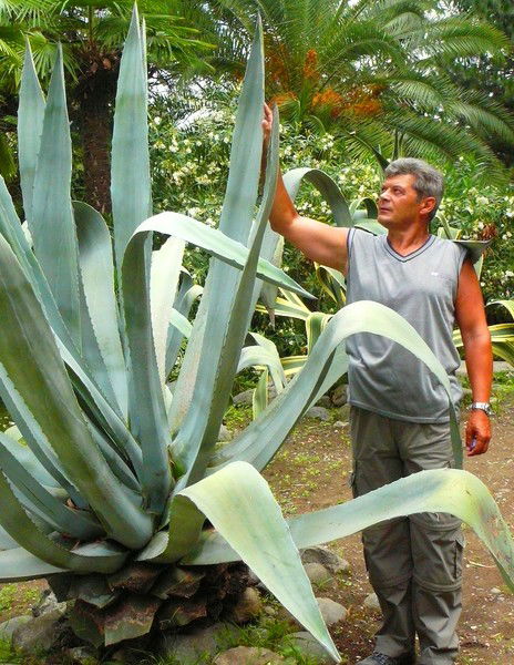 Олег Часовников