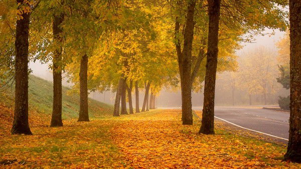 Камила Серикбаева