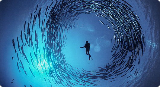 Сергей Терещенко