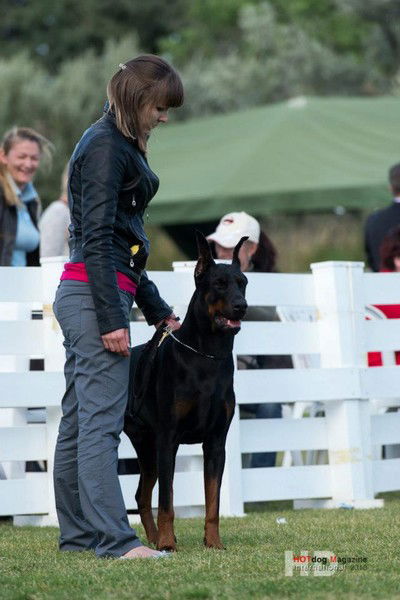 Алена Самойленко