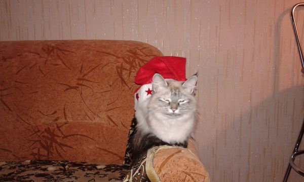 Константин Шухарев