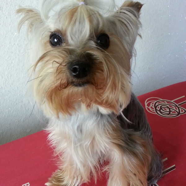 Инна Мезенцева