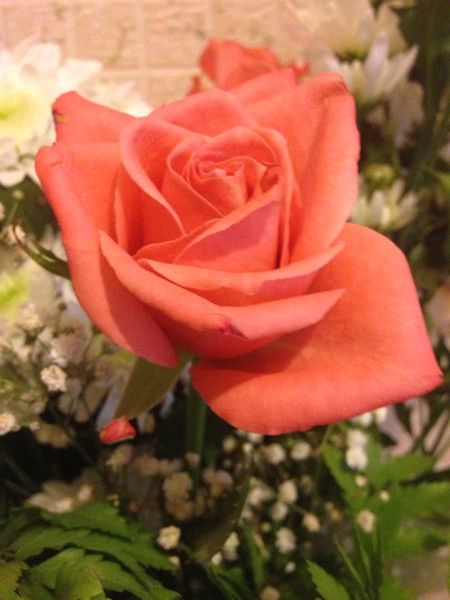 Зульфия Тазиева