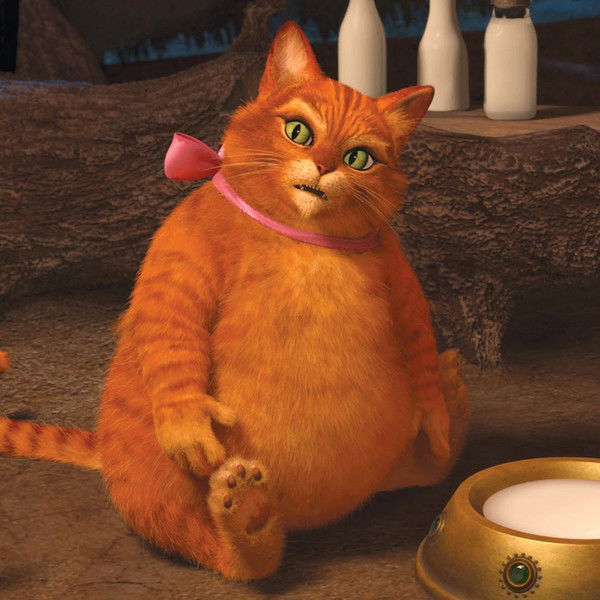 Андрей Комаров